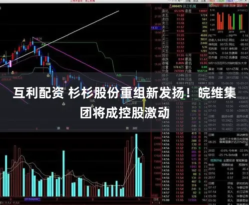 互利配资 杉杉股份重组新发扬！皖维集团将成控股激动