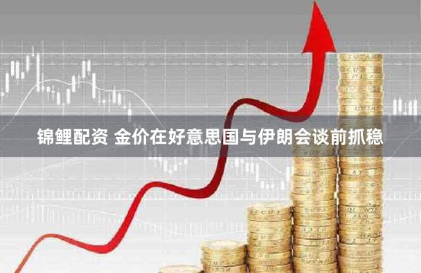 锦鲤配资 金价在好意思国与伊朗会谈前抓稳