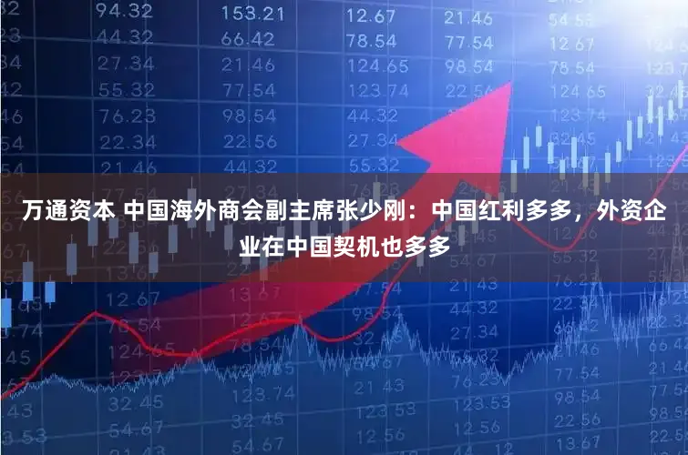 万通资本 中国海外商会副主席张少刚：中国红利多多，外资企业在中国契机也多多