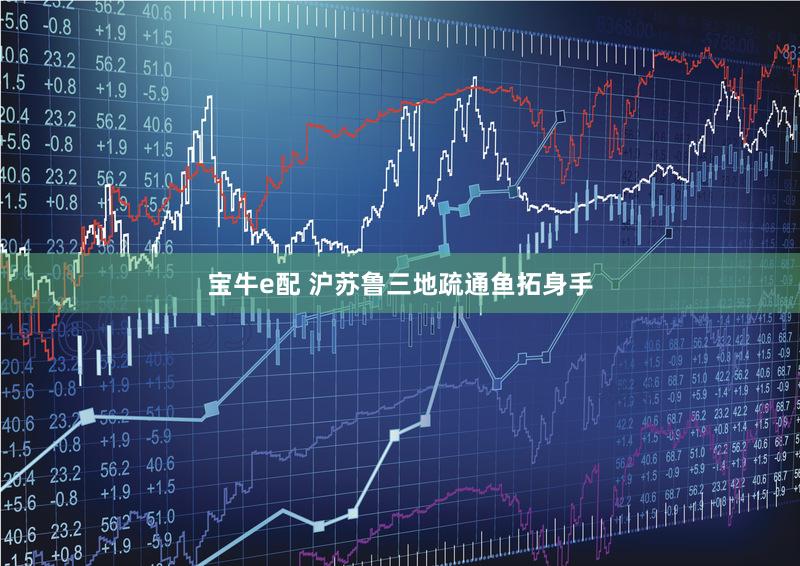 宝牛e配 沪苏鲁三地疏通鱼拓身手