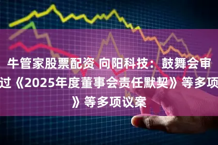 牛管家股票配资 向阳科技：鼓舞会审议通过《2025年度董事会责任默契》等多项议案