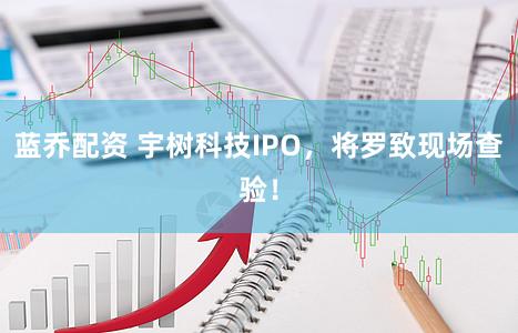 蓝乔配资 宇树科技IPO，将罗致现场查验！