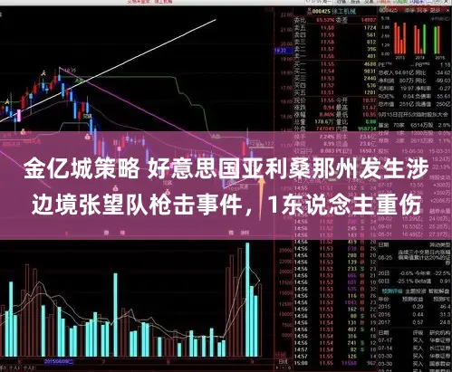 金亿城策略 好意思国亚利桑那州发生涉边境张望队枪击事件，1东说念主重伤