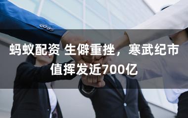 蚂蚁配资 生僻重挫，寒武纪市值挥发近700亿