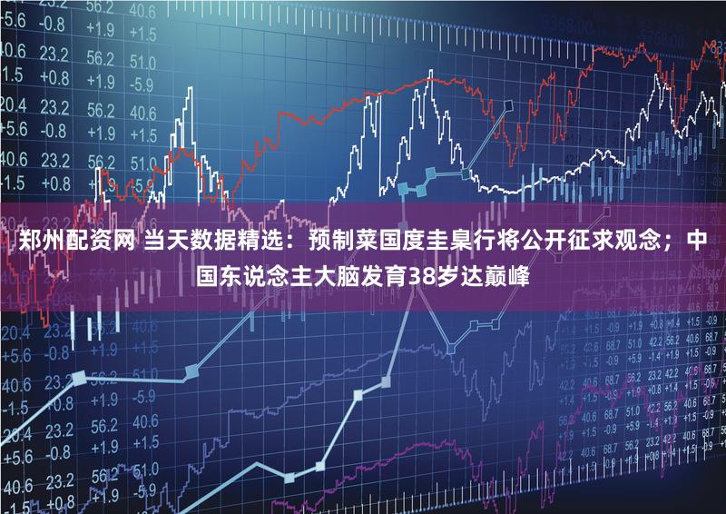 郑州配资网 当天数据精选:预制菜国度圭臬行将公开征求观念;中国东说念主大脑发育38岁达巅峰