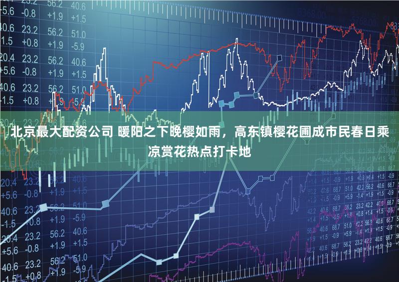 北京最大配资公司 暖阳之下晚樱如雨,高东镇樱花圃成市民春日乘凉赏花热点打卡地