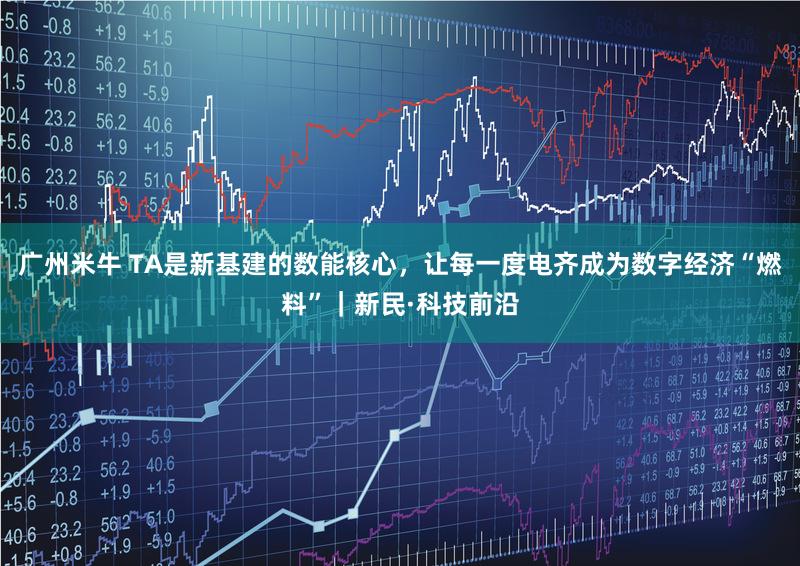 广州米牛 TA是新基建的数能核心,让每一度电齐成为数字经济“燃料”|新民·科技前沿
