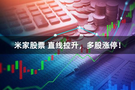 米家股票 直线拉升,多股涨停!