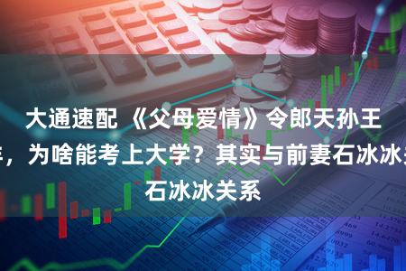 大通速配 《父母爱情》令郎天孙王海洋,为啥能考上大学?其实与前妻石冰冰关系