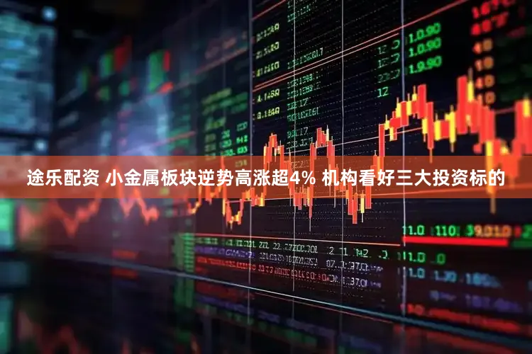 途乐配资 小金属板块逆势高涨超4% 机构看好三大投资标的
